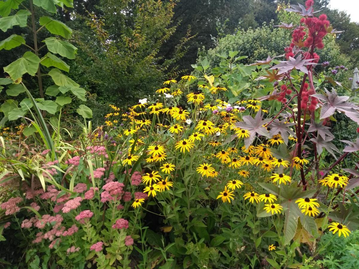 Gites De Lenvos Pontivy Bagian luar foto